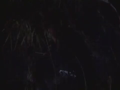 The Walking Dead (1995) fragmanı